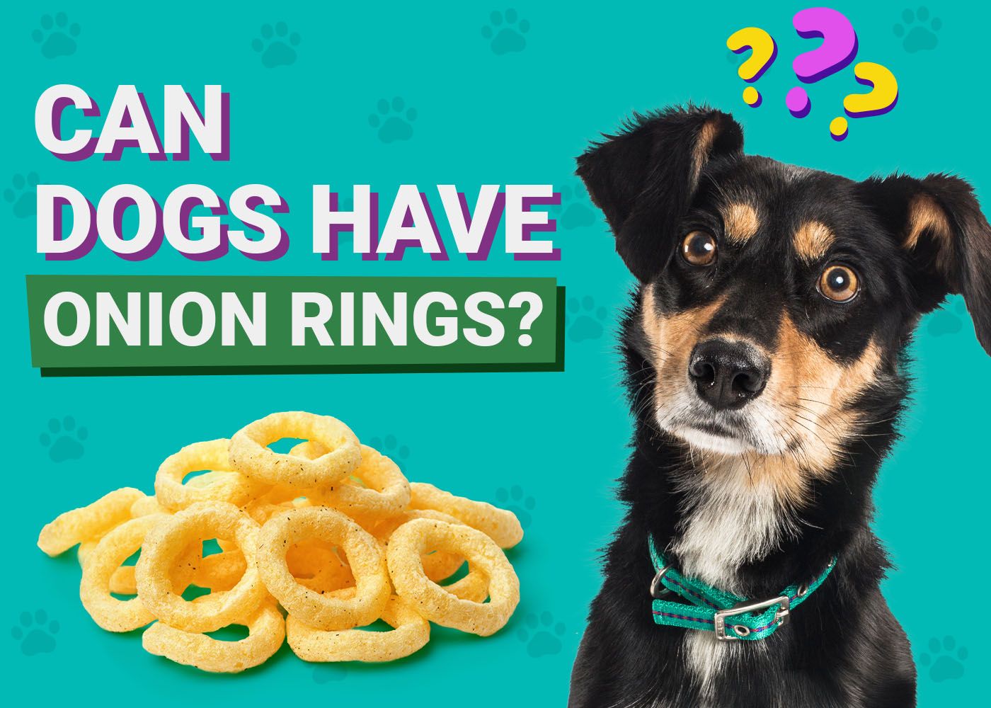 Dogster-Can-Dogs-Have-Onion-Rings