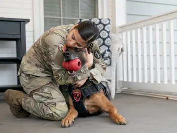 Military Dog Reunites with Handler and Retires on U.S. Soil