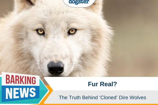 De-Extinction of the Dire Wolf - Brave New World or Colossal Mistake?