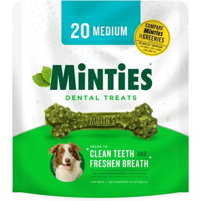 MiNTiES Large Dental Dog Treats