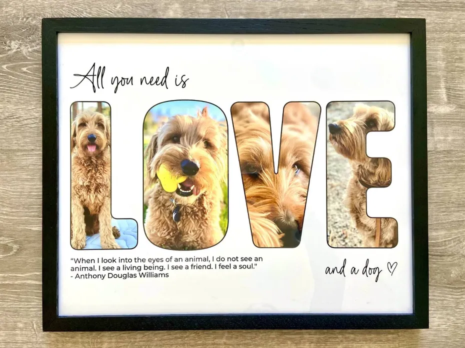 Positive Prints Letter Photo Collage Review - frame on floor
