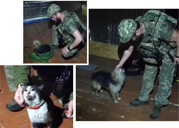 How a Simple Supply Run Turned Into a Rescue Operation 2