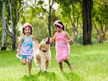 Do Dogs Like Kids? Vet-Verified Facts & Explanation