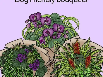 5 Dog-Safe Bouquets: Vet-Reviewed Dog-Friendly Flower Arrangement Ideas