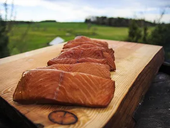 What Is Salmon Meal in Dog Food? Vet-Approved Facts & FAQ