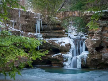 10 Dog-Friendly Trails in Hocking Hills State Park in 2026 (With Pictures)