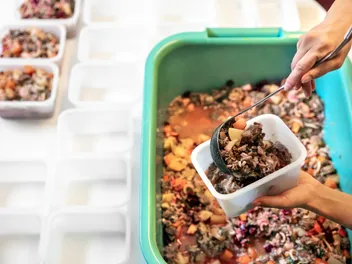 How to Store Wet Dog Food: 7 Vet Approved Tips & Tricks