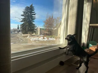 Subi the Daydreamer & Her Friends from a Distance