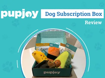 PupJoy Dog Subscription Box Review 2026: An Expert's Breakdown