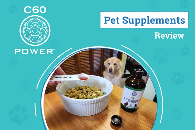 C60 Power For Pets Review 2026: The Fountain Of Youth In a Bottle