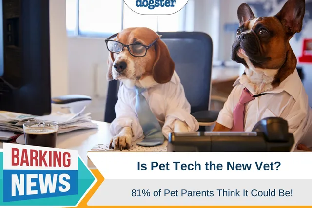 Is Pet Tech the New Vet? 81% of Pet Parents Think It Could Be!