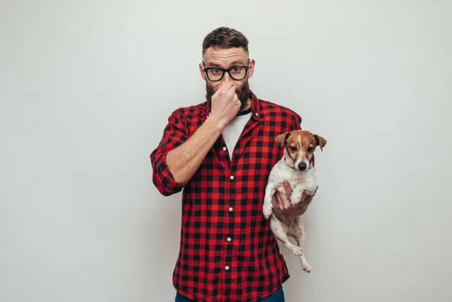Dog Gas: When Is It a Problem & How to Help (Vet Approved)