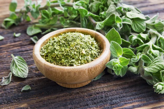 Can Dogs Eat Oregano? Our Vet Explains Nutrition Facts & Info