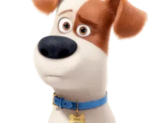 What Breed of Dog Is Max from The Secret Life of Pets? Famous Movie Character Facts