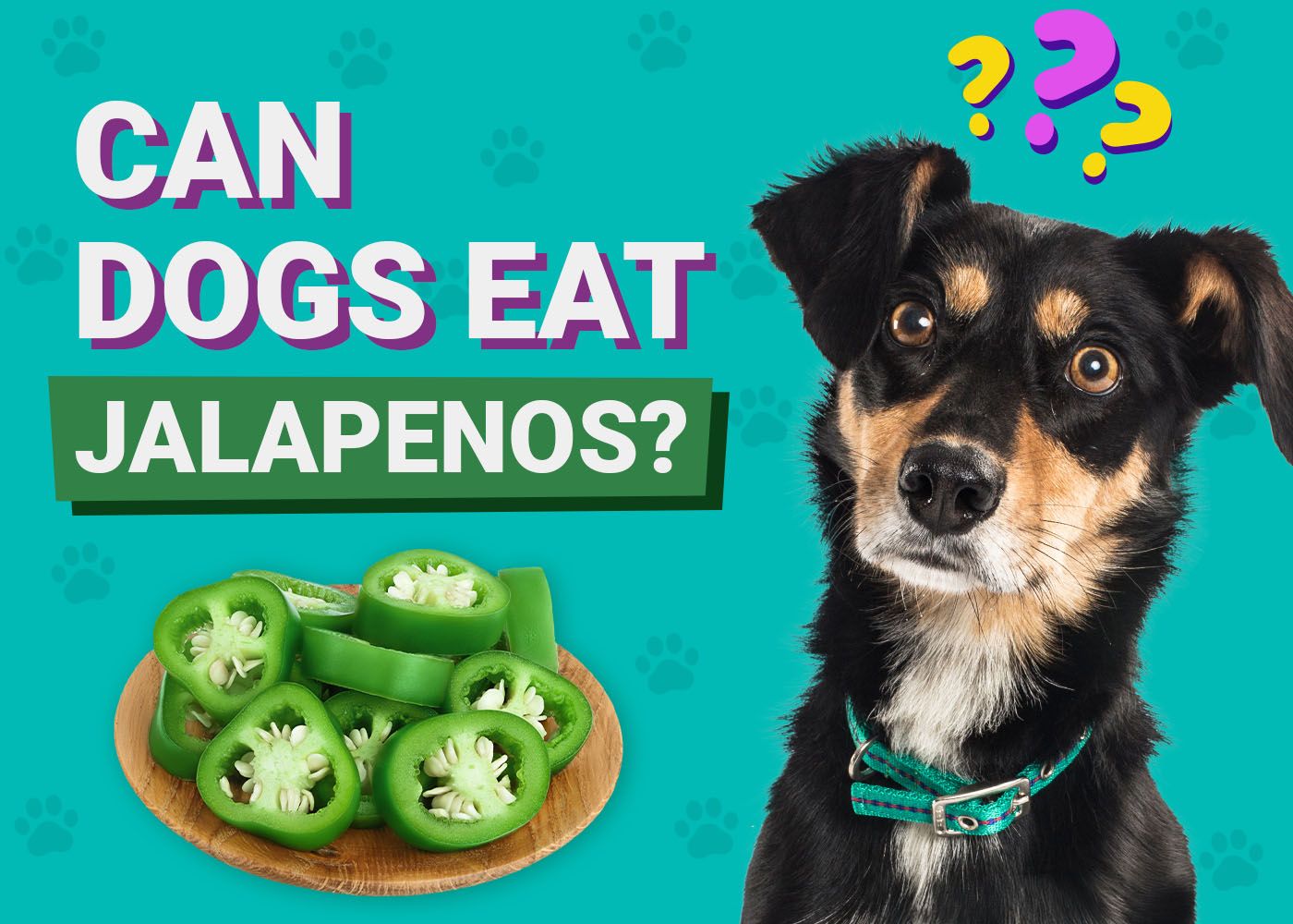 Can Dogs Eat Jalapeños