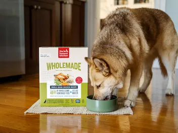 The Honest Kitchen – Pioneers of Human Grade Dehydrated Pet Food