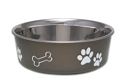 How to Choose the Right Dog Bowl_ Materials, Durability, and Hygiene - Image2_Bella Bowl