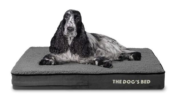 The Dog’s Bed Orthopedic Memory Foam Dog Bed