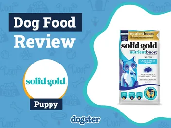 Solid Gold Puppy Food Review 2026: Recalls, Pros & Cons