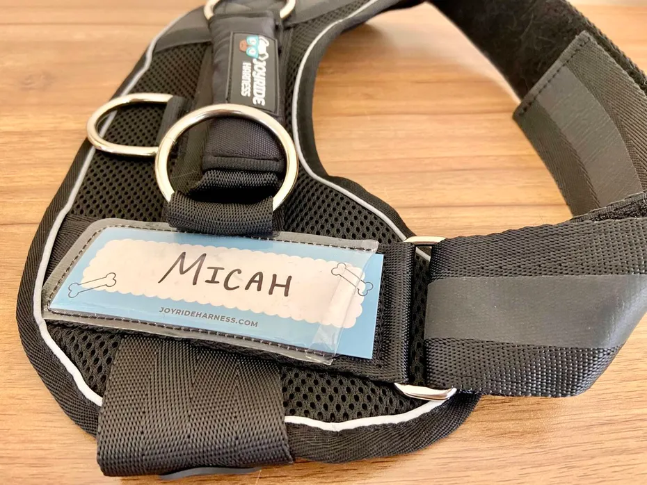 Joyride Summer Mesh Harness Review - close up with name