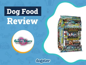 Gentle Giants Dog Food Review 2026: Pros, Cons & Verdict