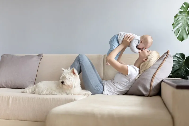 mother-and-child-with-westie-dog