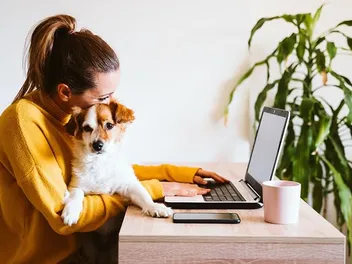 The 6 Best Online Vet Services for UK Pet Parents in 2026 - Reviews & Top Picks