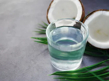 Is Coconut Oil Okay for Dogs? 8 Reasons to Try It (Vet Answer)