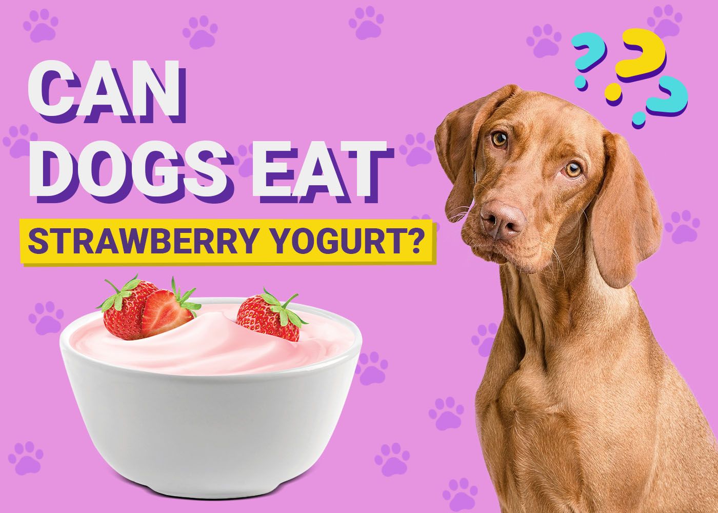 Can Dogs Eat Strawberry Yogurt