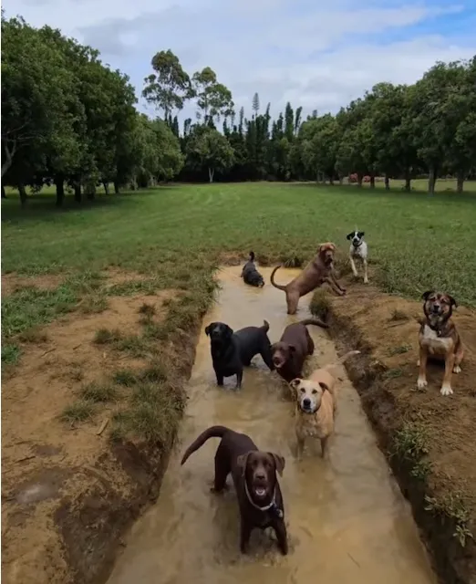 The mud pit!
