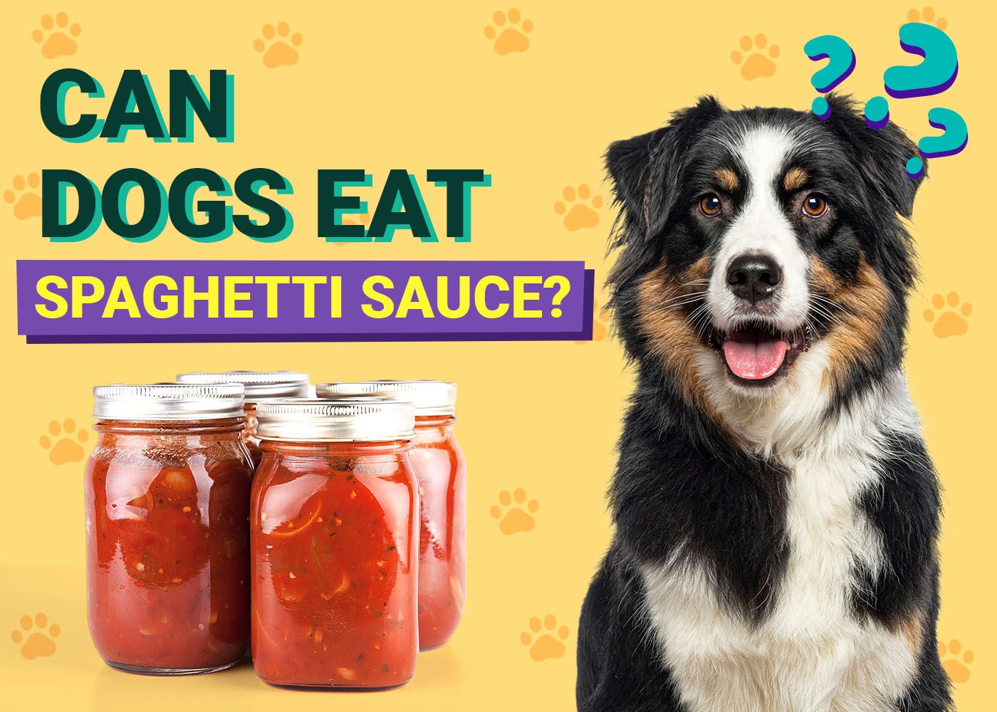 Dogster-Can-Dogs-Eat-Spaghetti Sauce