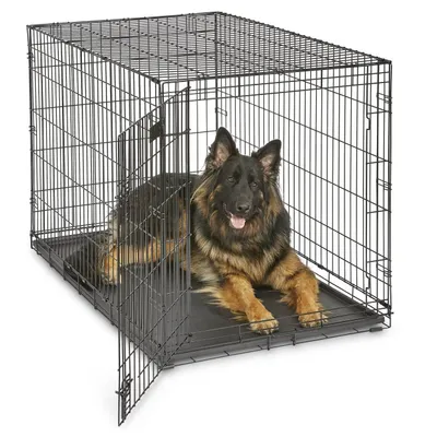 MidWest iCrate Fold &amp; Carry Single Door Collapsible Wire Dog Crate