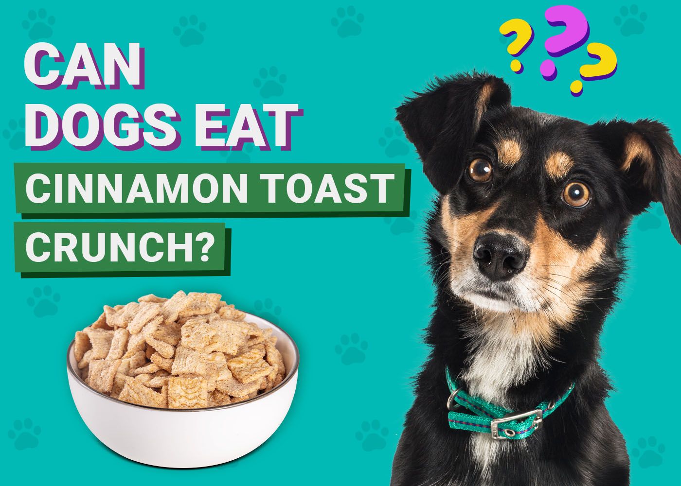 Can Dogs Eat Cinnamon Toast Crunch