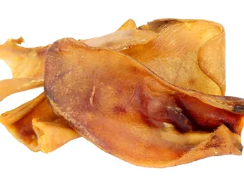 Are Pig Ears Good for Dogs? Vet-Verified Facts & Guide