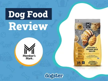 Member’s Mark Dog Food Review 2026: Pros, Cons, Recalls, & FAQ