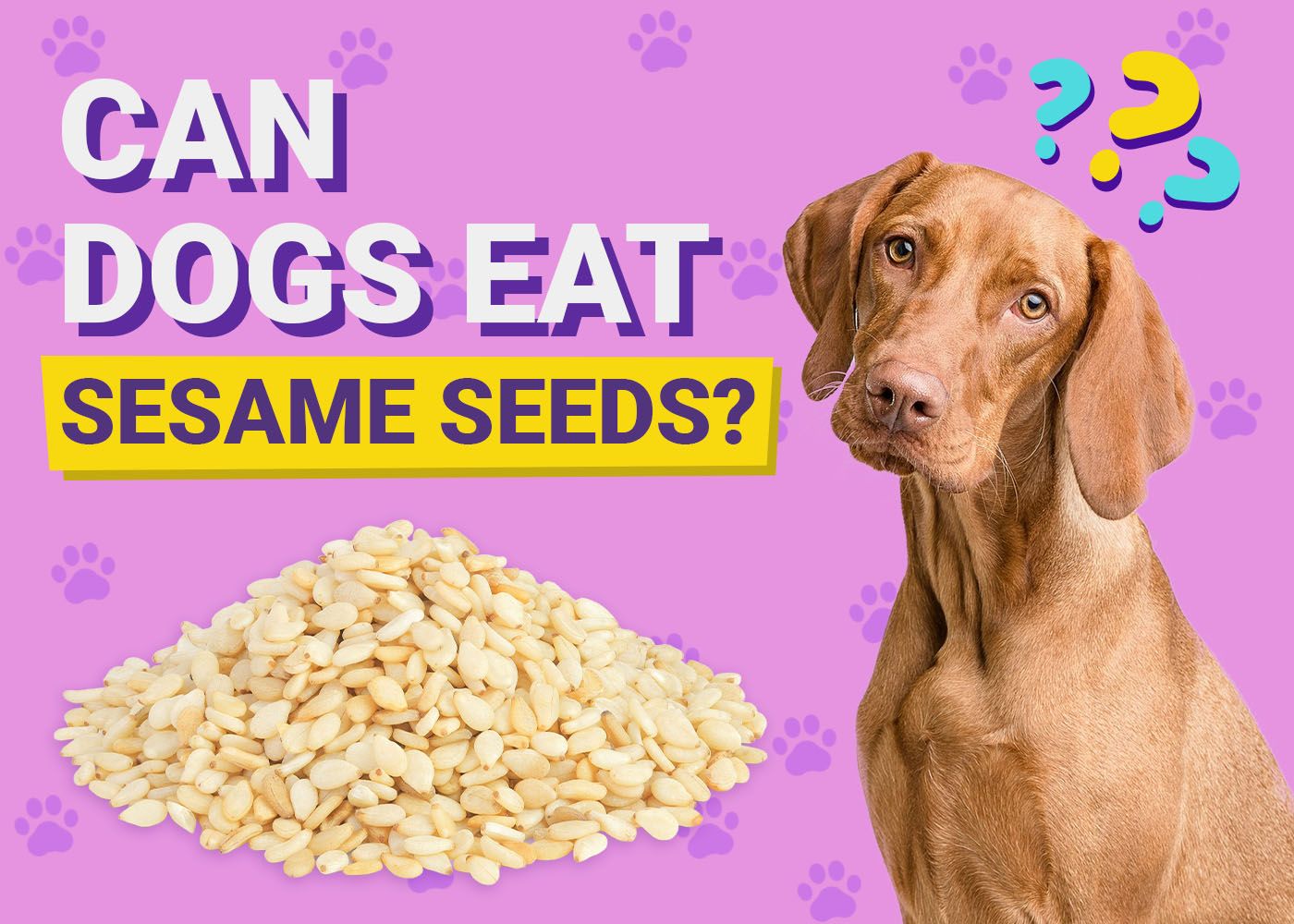 Can Dogs Eat Sesame Seeds