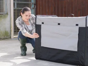 How Long Will It Take to Crate Train a Dog? Vet-Approved Facts & Timeline