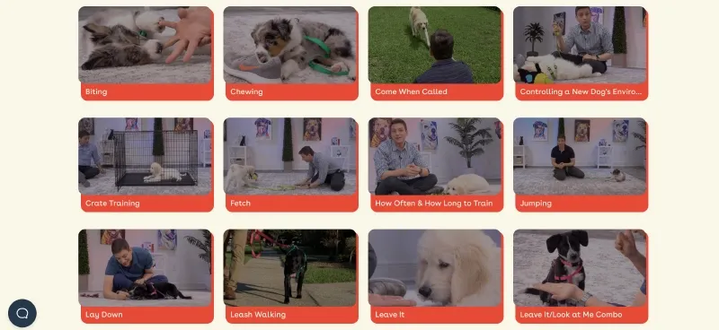 pupford training courses