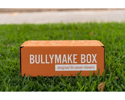 BullyMake Subscription