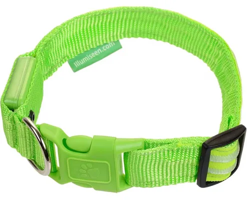 Illumiseen LED USB Rechargeable Nylon Dog Collar