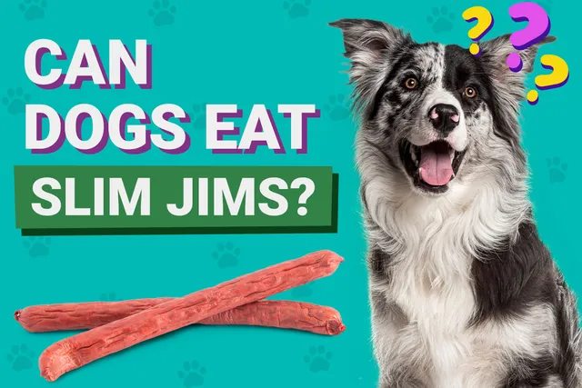 Can Dogs Eat Slim Jims? Vet-Verified Nutrition Info & Risks