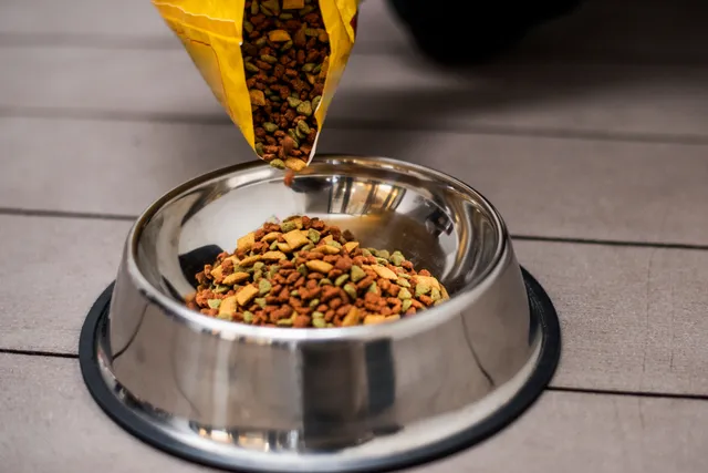 What Is a Good Fat-to-Protein Ratio for Dog Food? Facts and FAQ