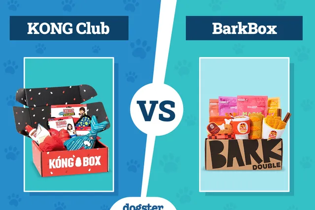 KONG Club vs BarkBox: Complete Comparison 2026 Update