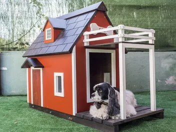 9 Best Luxury Dog Houses in 2026 - Reviews & Top Picks