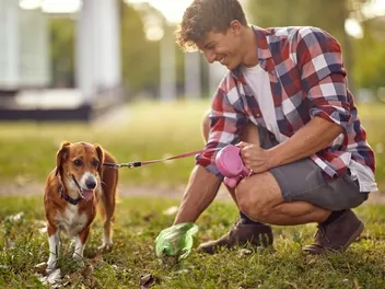 How to Pick Up Dog Poop: 8 Simple Ways