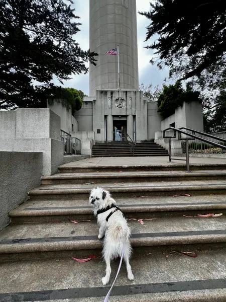 Gizmo at Coit Tower