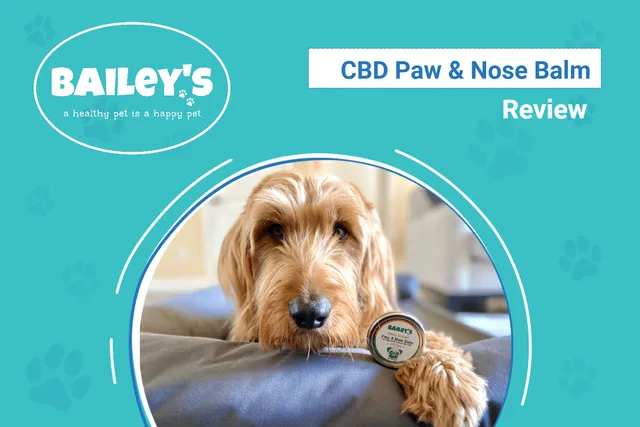 Bailey’s CBD Paw & Nose Balm Review 2026: An Expert's Breakdown