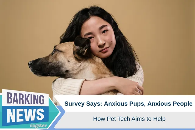 Survey Says: Anxious Pups, Anxious People - How Pet Tech Aims to Help