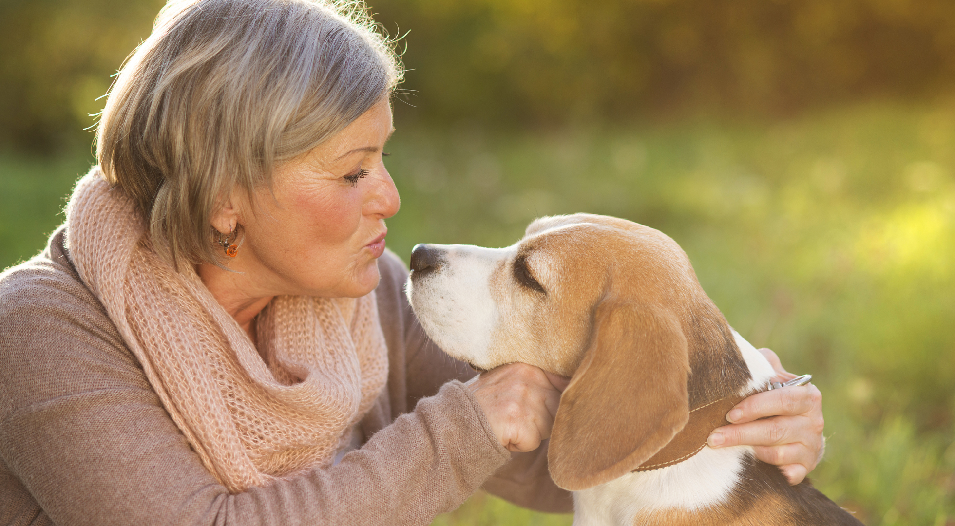 Why Modern Dog Care is Quietly Shifting From Treatment to Lifespan Stewardship 1