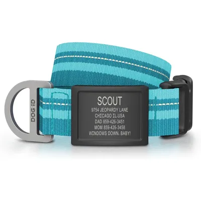 DOG iD Personalized Stainless Steel Graphite Dog ID Tag &amp; Collar, Teal, Medium:Large- 14.25 to 22.75-in neck, 1-in wide